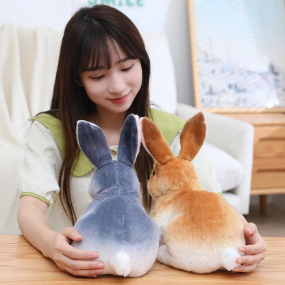 🐇Realistic Rabbit Toy ! Animal Stuffed Doll Toys | Sensor Active ! 🎧💫