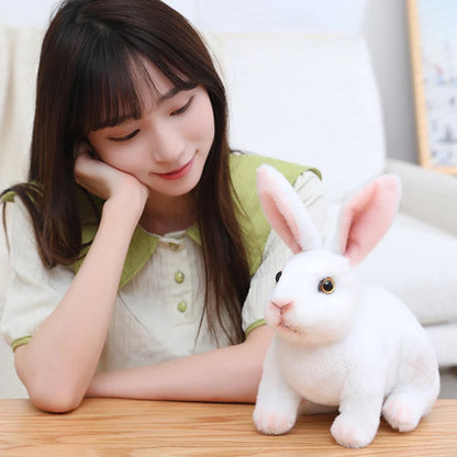 🐇Realistic Rabbit Toy ! Animal Stuffed Doll Toys | Sensor Active ! 🎧💫